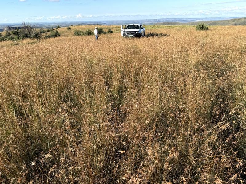 0 Bedroom Property for Sale in Fouriesburg Free State